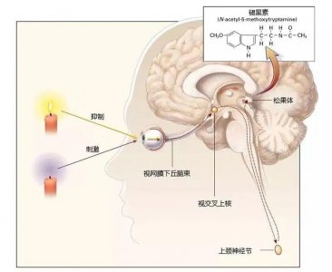 ​失眠了，到底能不能吃褪黑素？