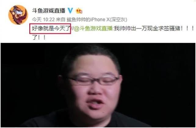 PDD什么时候开播?斗鱼官方一条回复引热议,骚猪今晚归位?!