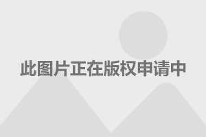 2024新奥门资料最精准免费大全_思捷环球盘中异动-用意广泛的精确分析