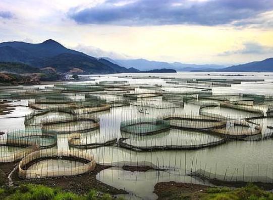 澳门开奖结果记录历史，上海市宝山区与上海大学