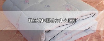 ​羽丝绒和羽绒枕头哪个好 羽丝绒和羽绒有什么