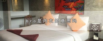 ​bra是内衣的意思嘛 bra是内衣吗