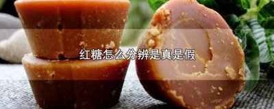 ​红糖怎么分辨是真是假 如何辩别真假红糖