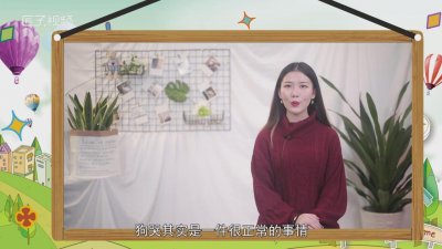 ​听到狗哭是什么征兆 家里养的狗哭是什么征兆