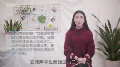 ​小金鱼是动物吗图片 小金鱼是什么类别动物