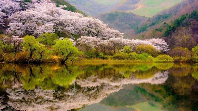 江碧鸟逾白山青花欲燃的意思 江鸟逾白山花欲燃是感觉的什么现象