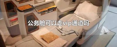 ​经济舱能走vip通道吗 公务舱能走vip通道吗