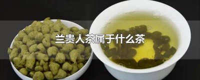 ​兰贵人茶属于什么茶功效 海南兰贵人茶属于什么茶