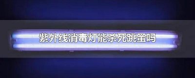 ​紫外线臭氧消毒灯能杀死跳蚤吗视频 紫外线臭氧消毒灯能杀死跳蚤吗为什么