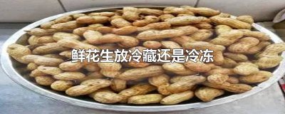 ​鲜花生放在冰箱冷冻可以吗 鲜花生可以冷藏吗