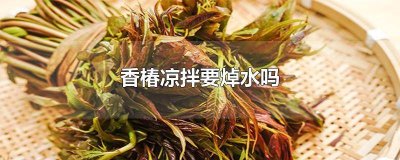 ​香椿凉拌需要开水焯一下吗 香椿芽凉拌需要焯水吗