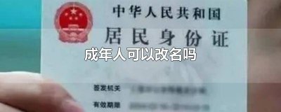 ​成年人可以改名吗