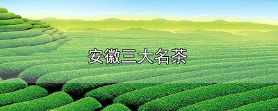 ​安徽三大名茶 安徽三大名茶绿茶