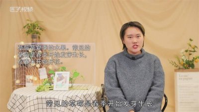 ​丹东草莓是什么季节的水果 芒果是什么季节的水果