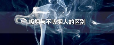 ​会吸烟和不会吸烟的区别 吸烟者和不吸烟者的区别