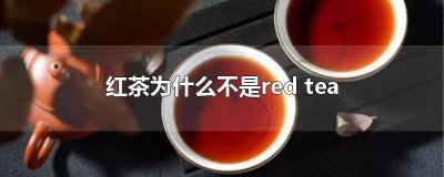 ​什么为红茶 什么茶为红茶