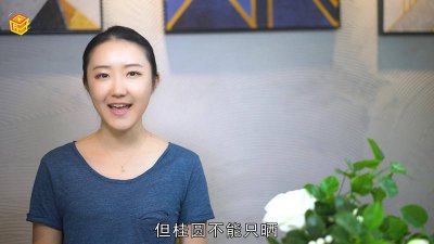 ​荔枝干是桂圆吗「干荔枝和干桂圆的功效」