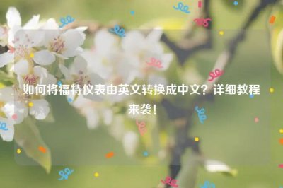 ​如何将福特仪表由英文转换成中文？详细教程来袭！