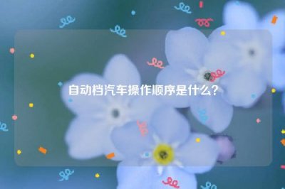 ​自动档汽车操作顺序是什么？