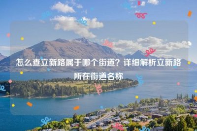 ​怎么查立新路属于哪个街道？详细解析立新路所在街道名称