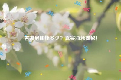 ​吉姆尼油耗多少？真实油耗揭秘！