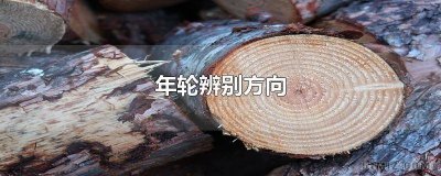 ​年轮辨别方向图片 如何通过年轮辨别方向