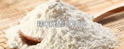 ​糯米粉是江米面儿吗 江米面是糯米粉吗