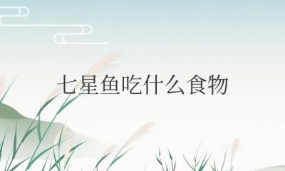 ​七星鱼吃什么食物为主