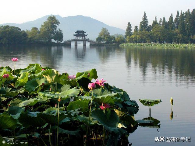 杭州映像｜西湖十景之“曲院风荷”水墨荷花水雾濛