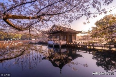 ​杭州映像｜西湖十景之“曲院风荷”水墨荷花水雾濛