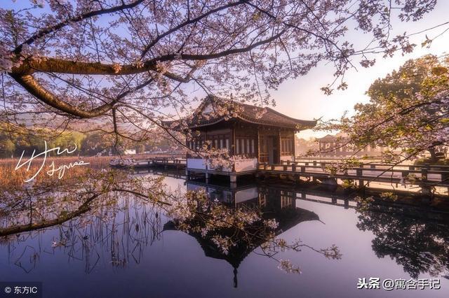 杭州映像｜西湖十景之“曲院风荷”水墨荷花水雾濛