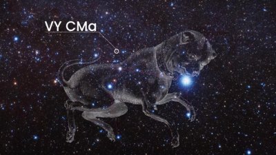 ​告诉你大犬座VY恒星，非比寻常的存在