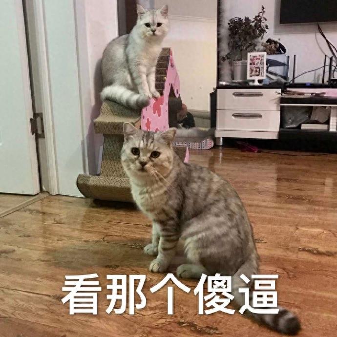 表情包：亲一口小宝贝，啵唧