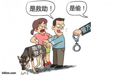 ​后台｜警犬被盗案中的法律问题